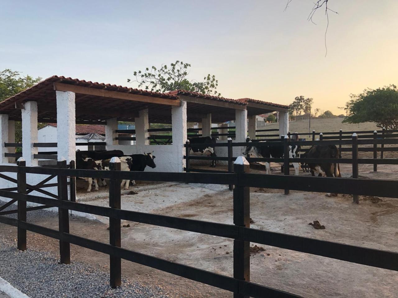 Flat 301 Condominio Villa Hipica - Gravata, Pe Kültér fotó