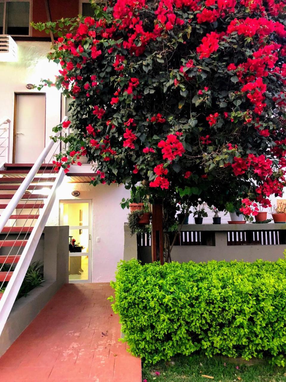 Flat 301 Condominio Villa Hipica - Gravata, Pe Kültér fotó